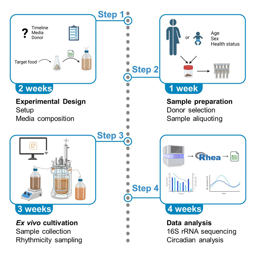 cross-rollup sequencing